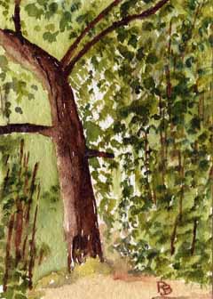 "Around the Tree" by Ron Baeseman, Madison WI - Watercolor